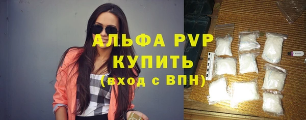 шишки Елизово