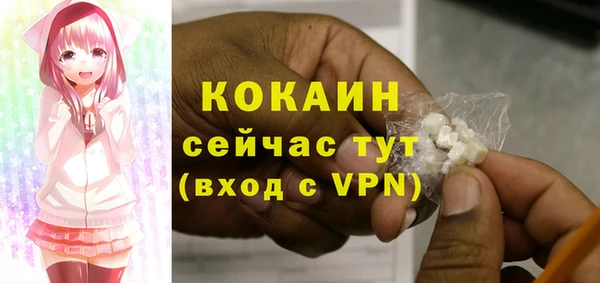 шишки Елизово