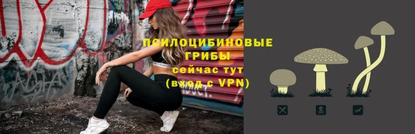 а пвп мука Ельня