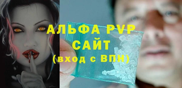 шишки Елизово