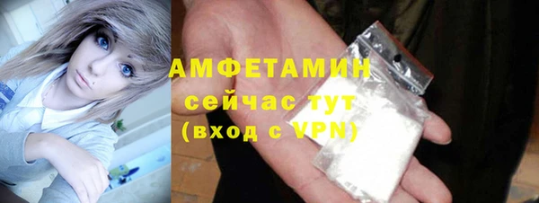 шишки Елизово
