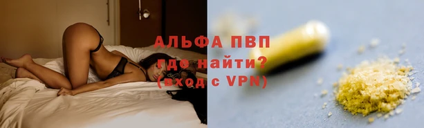 спиды Заволжье