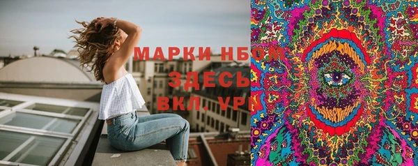 шишки Елизово