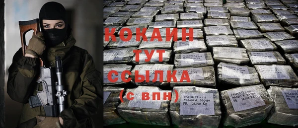 шишки Елизово