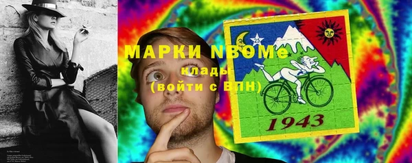 шишки Елизово