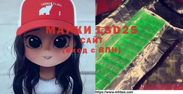 шишки Елизово