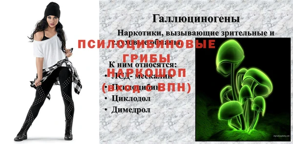 а пвп мука Ельня