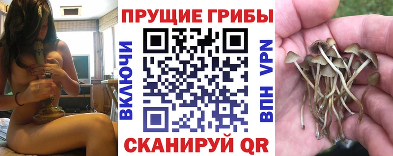 Псилоцибиновые грибы мицелий Сасово